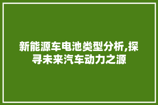 新能源车电池类型分析,探寻未来汽车动力之源 车载导航