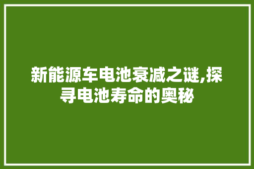 新能源车电池衰减之谜,探寻电池寿命的奥秘