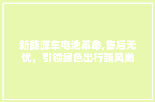 新能源车电池革命,售后无忧，引领绿色出行新风尚