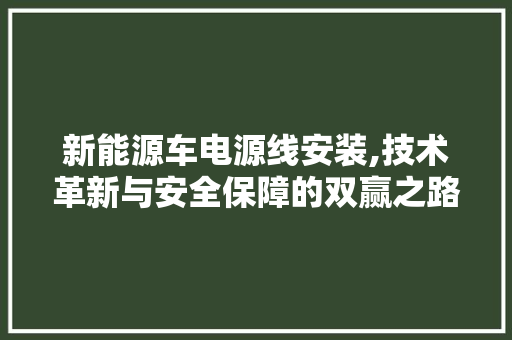 新能源车电源线安装,技术革新与安全保障的双赢之路