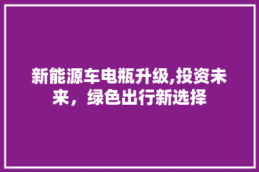 新能源车电瓶升级,投资未来，绿色出行新选择