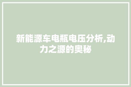 新能源车电瓶电压分析,动力之源的奥秘