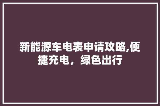 新能源车电表申请攻略,便捷充电，绿色出行