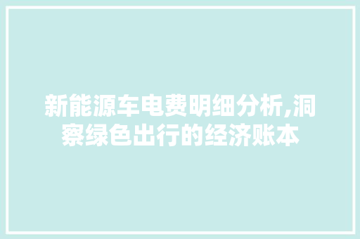 新能源车电费明细分析,洞察绿色出行的经济账本