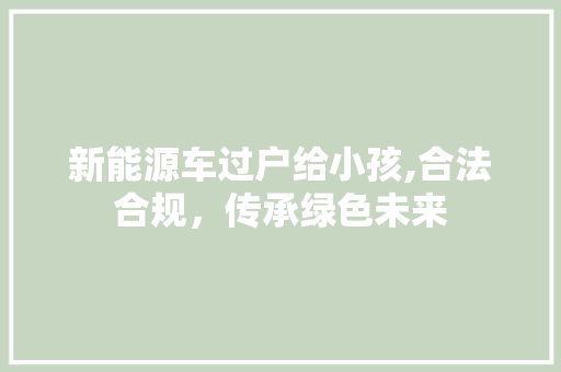 新能源车过户给小孩,合法合规，传承绿色未来