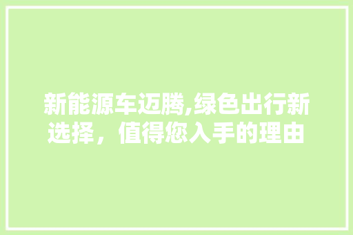 新能源车迈腾,绿色出行新选择，值得您入手的理由 自动驾驶