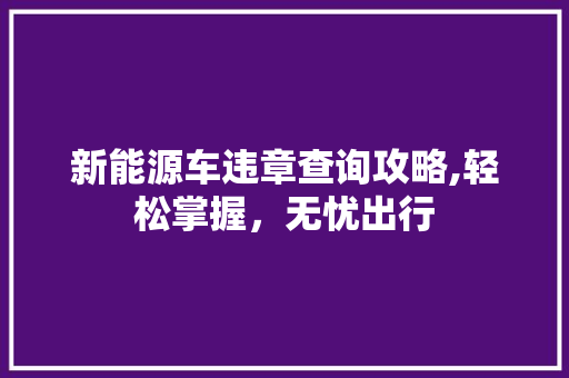新能源车违章查询攻略,轻松掌握，无忧出行