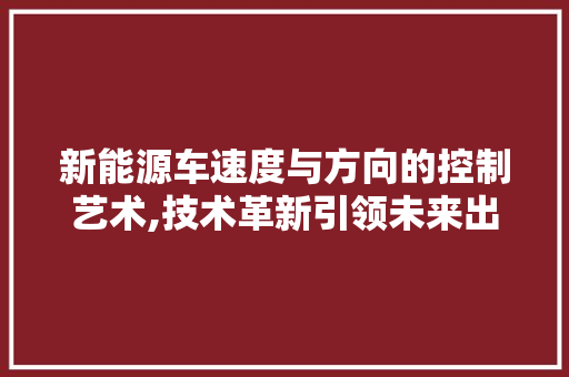 新能源车速度与方向的控制艺术,技术革新引领未来出行