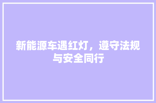 新能源车遇红灯，遵守法规与安全同行