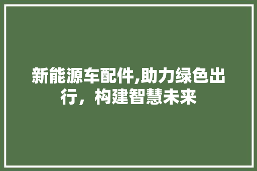 新能源车配件,助力绿色出行，构建智慧未来