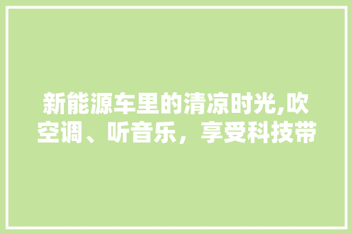 新能源车里的清凉时光,吹空调、听音乐，享受科技带来的舒适体验