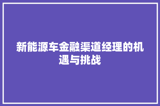 新能源车金融渠道经理的机遇与挑战