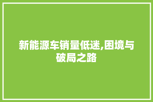 新能源车销量低迷,困境与破局之路