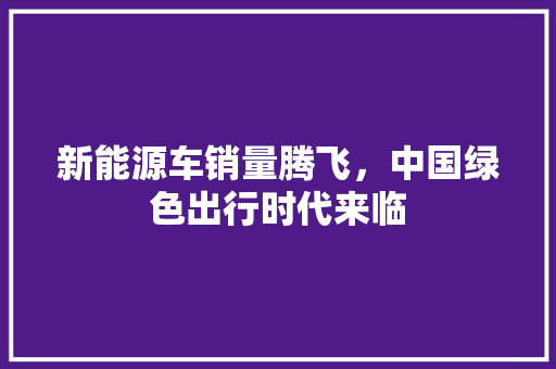 新能源车销量腾飞，中国绿色出行时代来临 自动驾驶