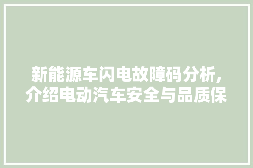 新能源车闪电故障码分析,介绍电动汽车安全与品质保障