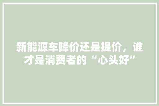 新能源车降价还是提价，谁才是消费者的“心头好”