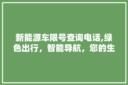新能源车限号查询电话,绿色出行，智能导航，您的生活助手