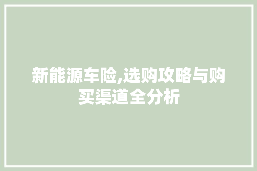 新能源车险,选购攻略与购买渠道全分析