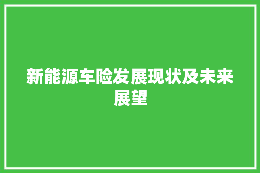 新能源车险发展现状及未来展望