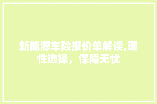 新能源车险报价单解读,理性选择，保障无忧