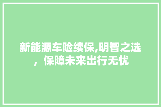 新能源车险续保,明智之选，保障未来出行无忧