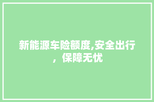 新能源车险额度,安全出行，保障无忧