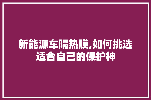 新能源车隔热膜,如何挑选适合自己的保护神