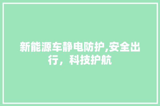 新能源车静电防护,安全出行，科技护航 混合动力车
