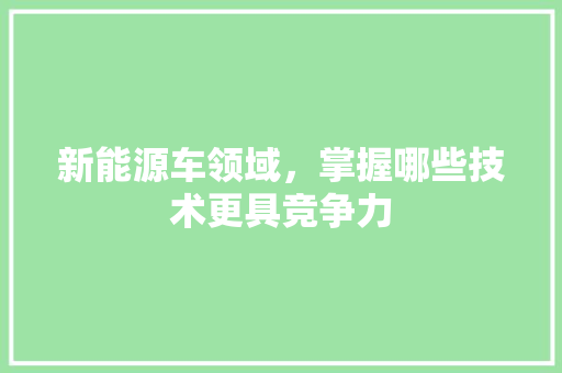 新能源车领域，掌握哪些技术更具竞争力