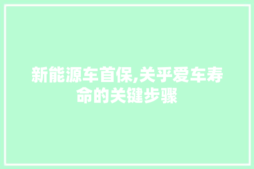 新能源车首保,关乎爱车寿命的关键步骤