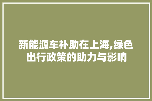 新能源车补助在上海,绿色出行政策的助力与影响
