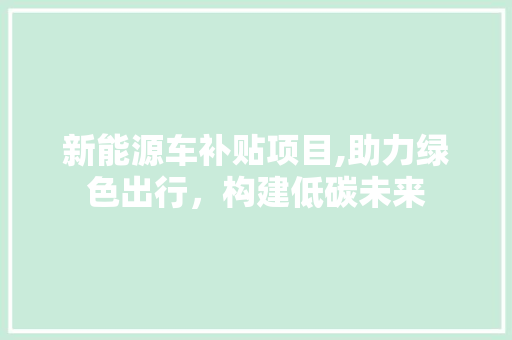 新能源车补贴项目,助力绿色出行，构建低碳未来