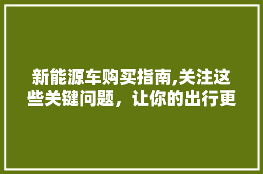 新能源车购买指南,关注这些关键问题，让你的出行更加绿色环保