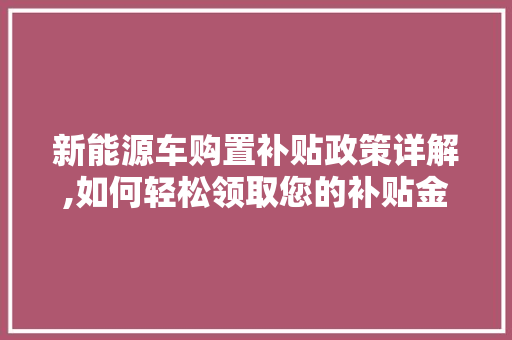 新能源车购置补贴政策详解,如何轻松领取您的补贴金