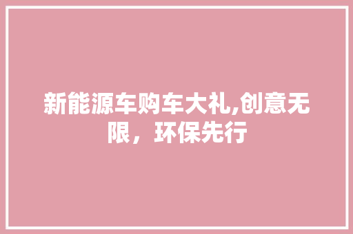 新能源车购车大礼,创意无限，环保先行 自动驾驶
