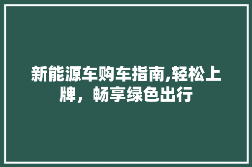 新能源车购车指南,轻松上牌，畅享绿色出行