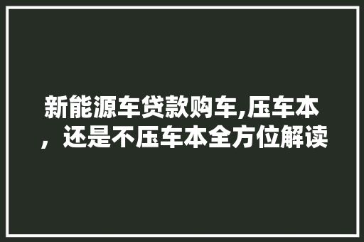 新能源车贷款购车,压车本，还是不压车本全方位解读