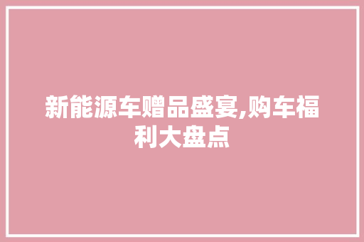 新能源车赠品盛宴,购车福利大盘点 汽车轮胎