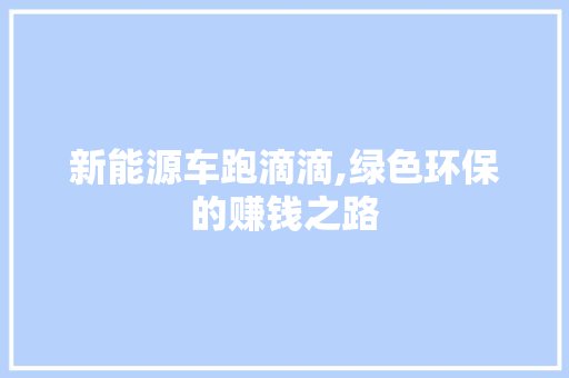 新能源车跑滴滴,绿色环保的赚钱之路
