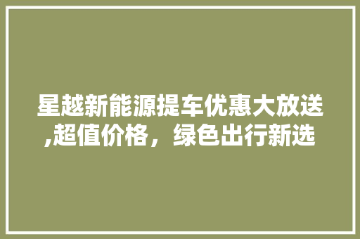 星越新能源提车优惠大放送,超值价格，绿色出行新选择！