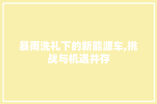 暴雨洗礼下的新能源车,挑战与机遇并存