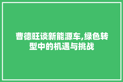曹德旺谈新能源车,绿色转型中的机遇与挑战
