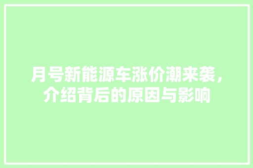 月号新能源车涨价潮来袭，介绍背后的原因与影响