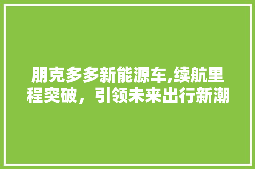 朋克多多新能源车,续航里程突破，引领未来出行新潮流