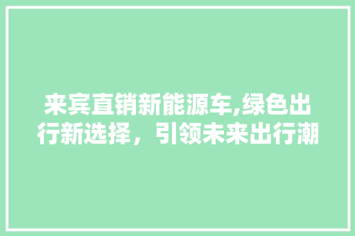 来宾直销新能源车,绿色出行新选择，引领未来出行潮流