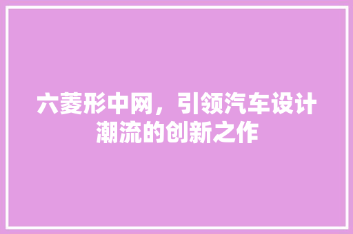 六菱形中网，引领汽车设计潮流的创新之作