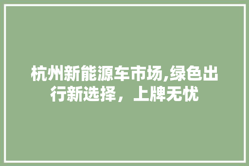 杭州新能源车市场,绿色出行新选择，上牌无忧 自动驾驶
