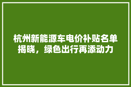 杭州新能源车电价补贴名单揭晓，绿色出行再添动力