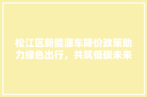 松江区新能源车降价政策助力绿色出行，共筑低碳未来
