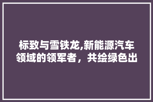 标致与雪铁龙,新能源汽车领域的领军者，共绘绿色出行新篇章